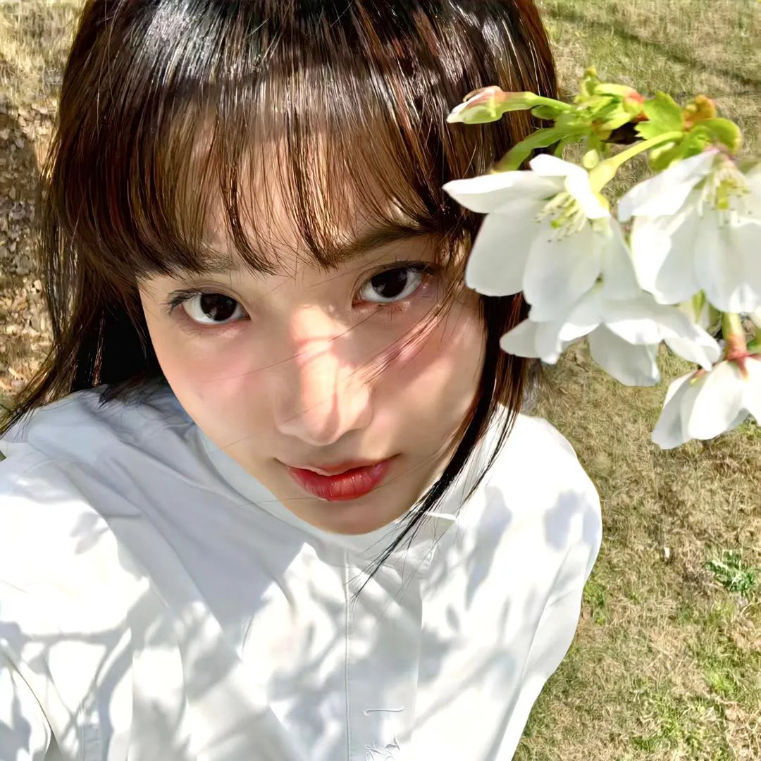 解剖手术中的钥匙